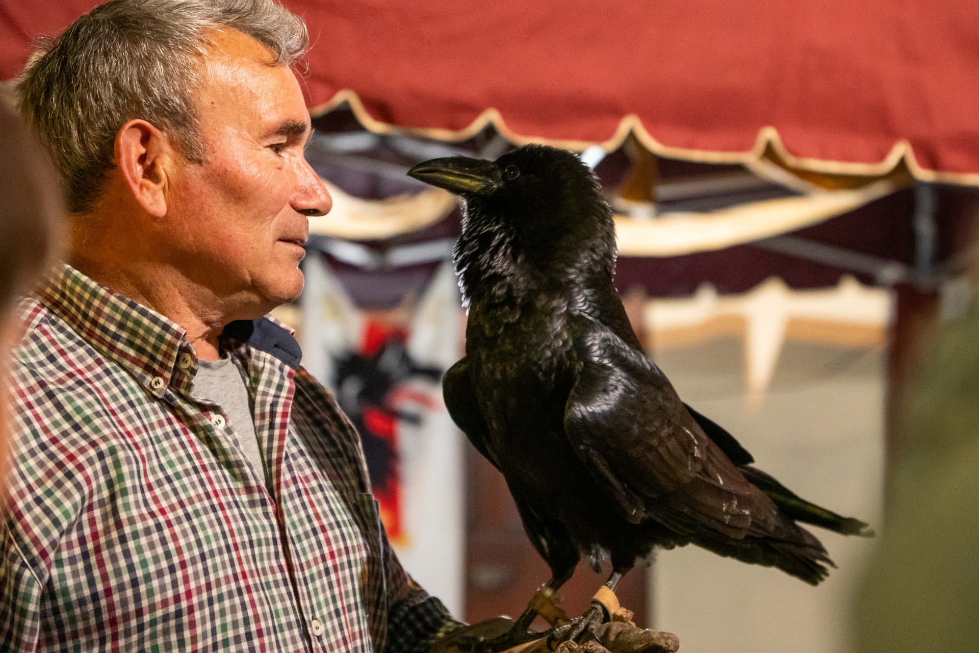 Cetrería. Al-Qura Medieval.